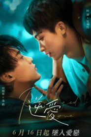 Revenged Love BTS (2025)