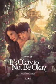It’s Okay to Not Be Okay (2025)