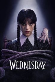Wednesday (2025)