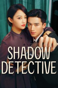 Shadow Detective (2025) Season 1